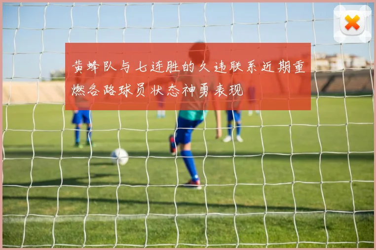 黄蜂队与七连胜的久违联系近期重燃各路球员状态神勇表现