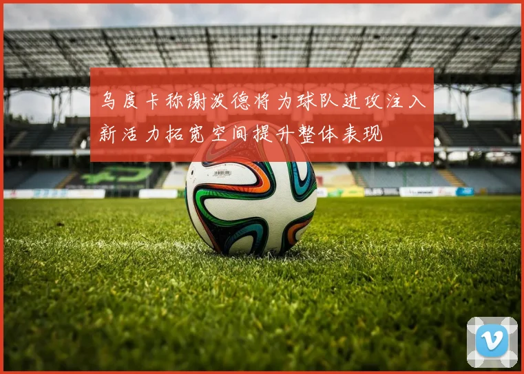 乌度卡称谢泼德将为球队进攻注入新活力拓宽空间提升整体表现