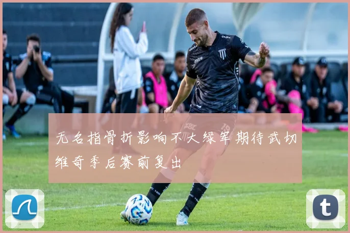 无名指骨折影响不大绿军期待武切维奇季后赛前复出
