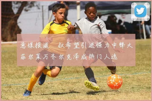 意媒报道囧叔希望引进强力中锋大菲尔莱万齐尔克泽成热门人选