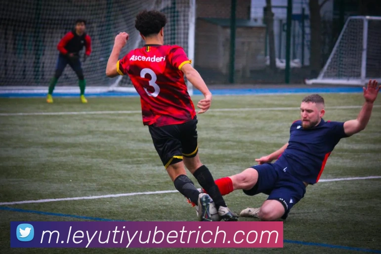 多媒体互动体验