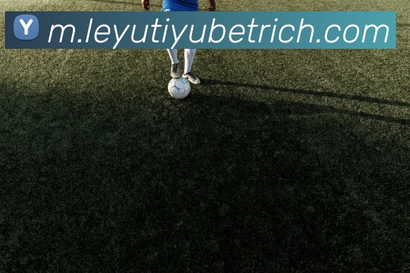 乐鱼体育APP 高清赛事图